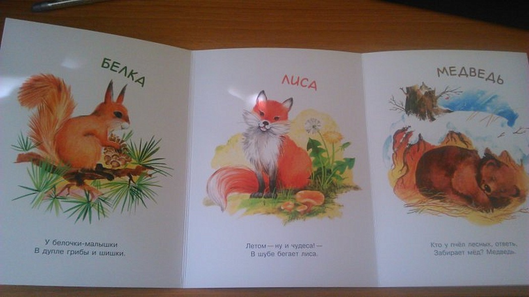 Книжки-гармошки. Это кто такой? - фото 2