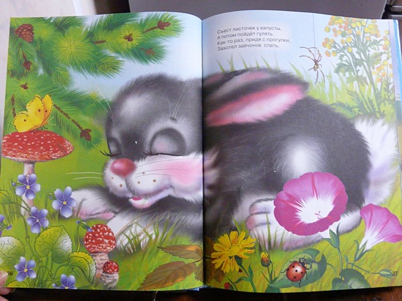 Л.С. ЛУЧШАЯ КНИГА МАЛЫШАМ - фото 12