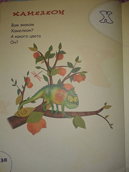 Логопедический букварь - фото 6