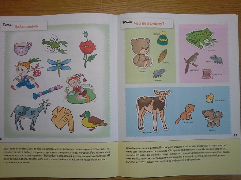 Развитие речи у дошкольников. Старшая группа. Рабочая тетрадь. - фото 9