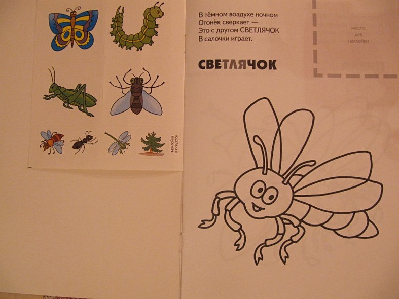 Насекомые. Раскраска с наклейками. - фото 9