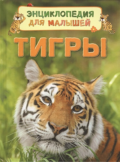 Тигры - фото 1
