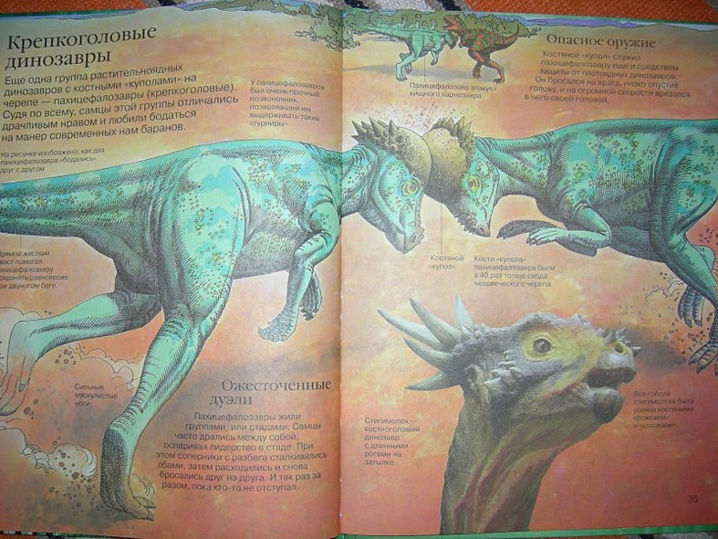 Детская энциклопедия динозавров - фото 14