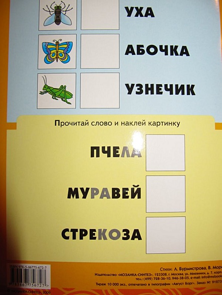 Насекомые. Раскраска с наклейками. - фото 13
