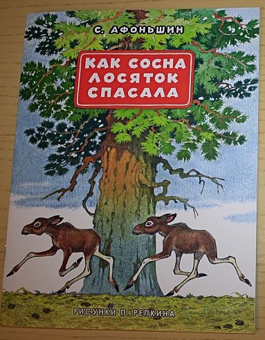 Как сосна лосяток спасала - фото 2