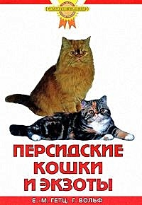 Персидские кошки и экзоты - фото 1