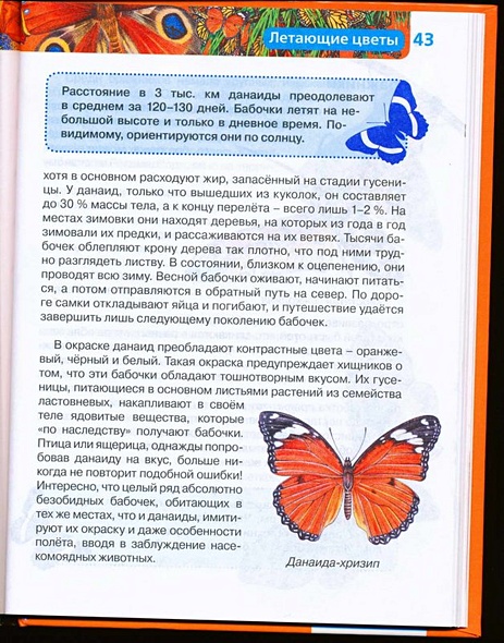 Насекомые / Науч.-поп. изд. - фото 11