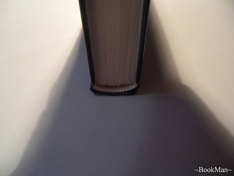 Пятьдесят запретных желаний - фото 6