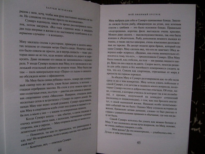 Мой любимый sputnik - фото 8