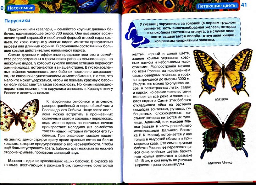 Насекомые / Науч.-поп. изд. - фото 9