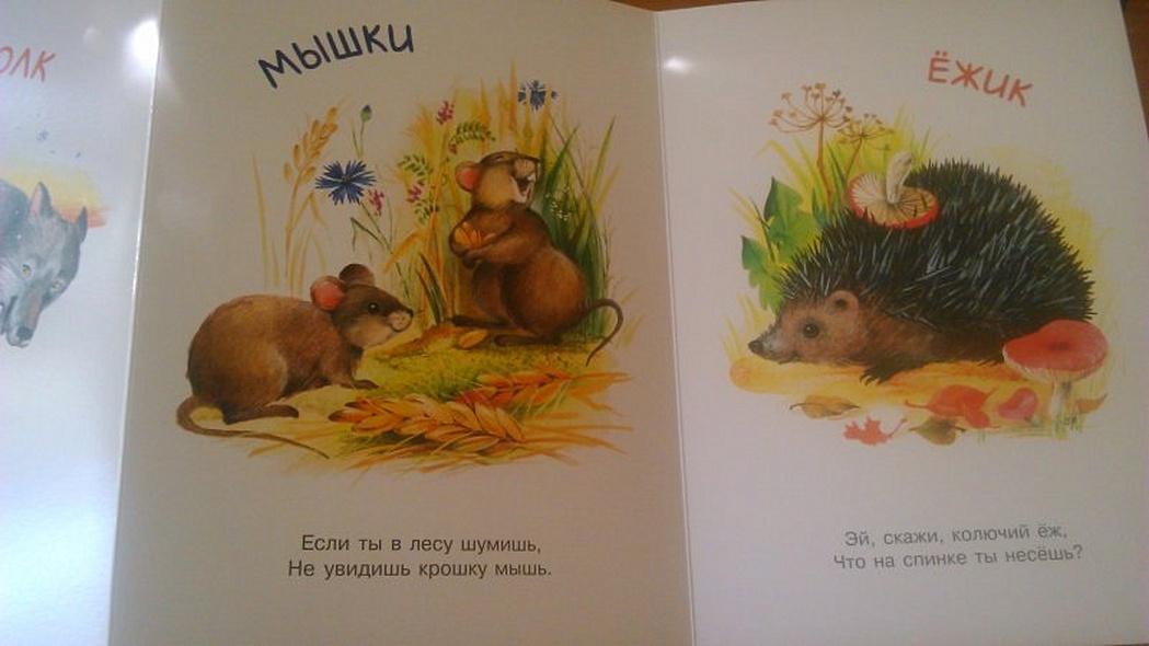 Книжки-гармошки. Это кто такой? - фото 5