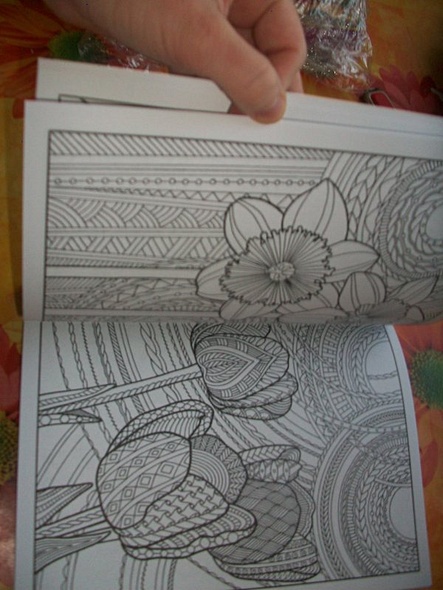 Раскраска-зендудл. Цветотерапия. Чудесные цветы - фото 4