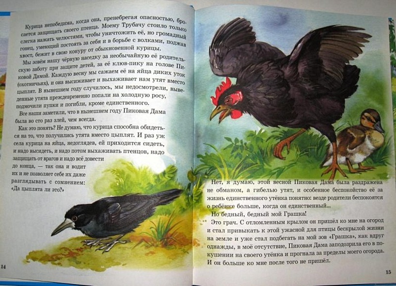 Л.С. МИХАИЛ ПРИШВИН. РАССКАЗЫ О ЖИВОТНЫХ МАЛЫШАМ - фото 6