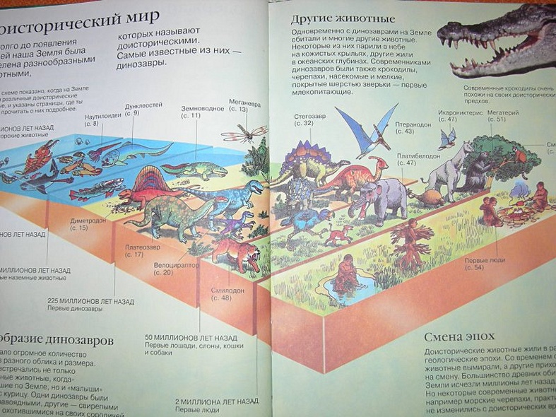 Детская энциклопедия динозавров - фото 2