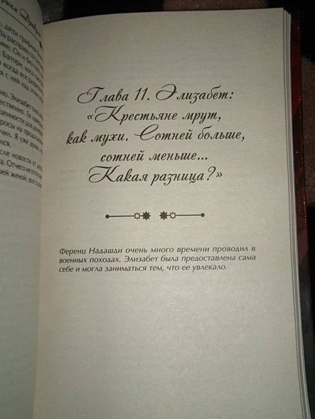 Графиня Дракула. Невероятная история Элизабет Батори - фото 7