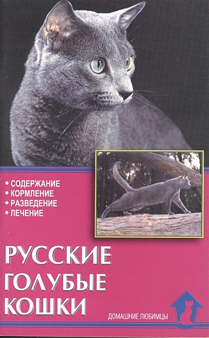 Русские голубые кошки - фото 1