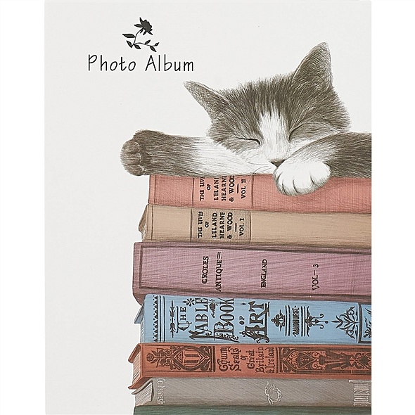 Фотоальбом на 100 фотографий, «Кот и книги», 10 х 15 см - фото 1