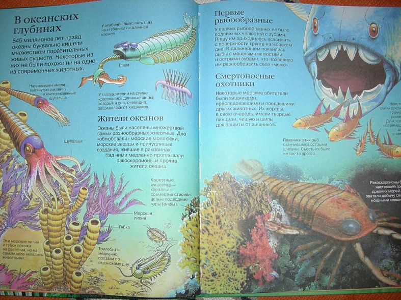 Детская энциклопедия динозавров - фото 4