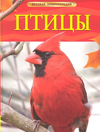 Птицы. Детская энциклопедия - фото 1