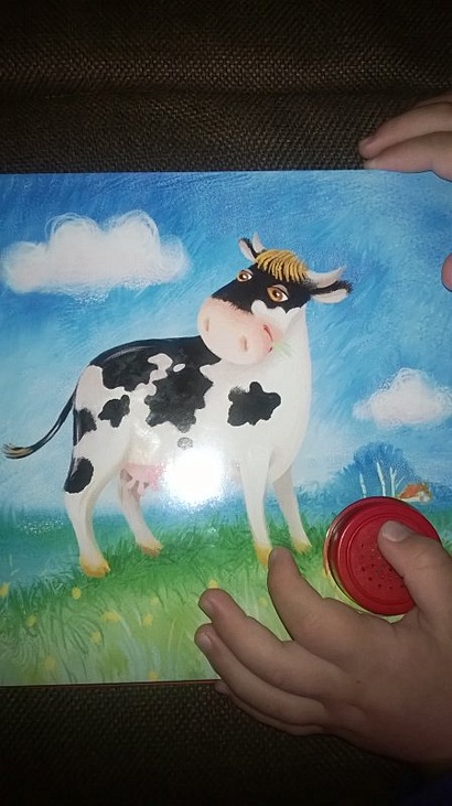 Звуковые книжки. И-го-го! - фото 4