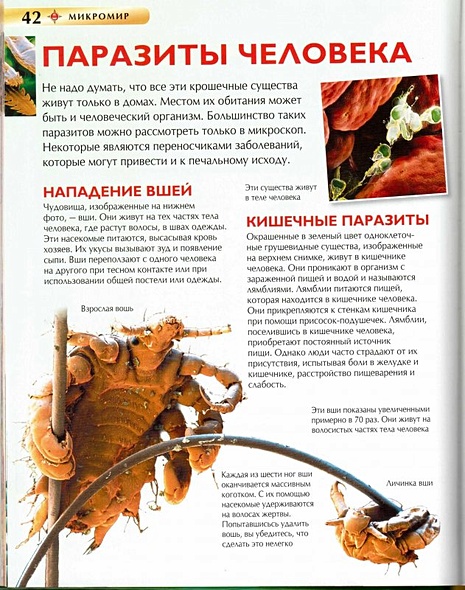 Микромир - фото 15