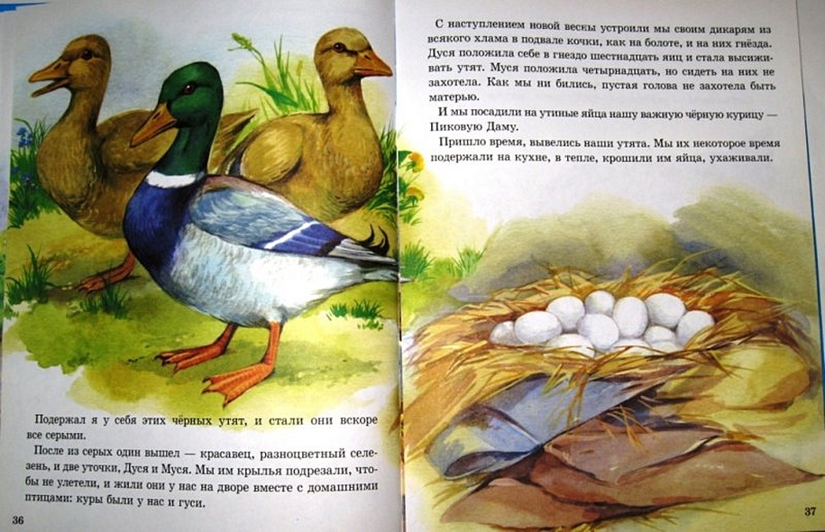 Л.С. МИХАИЛ ПРИШВИН. РАССКАЗЫ О ЖИВОТНЫХ МАЛЫШАМ - фото 10