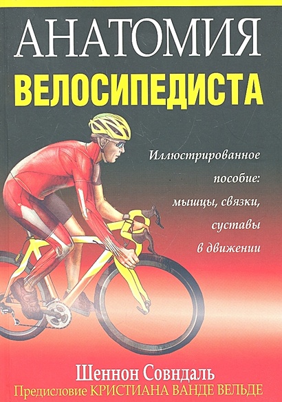 Анатомия велосипедиста - фото 1