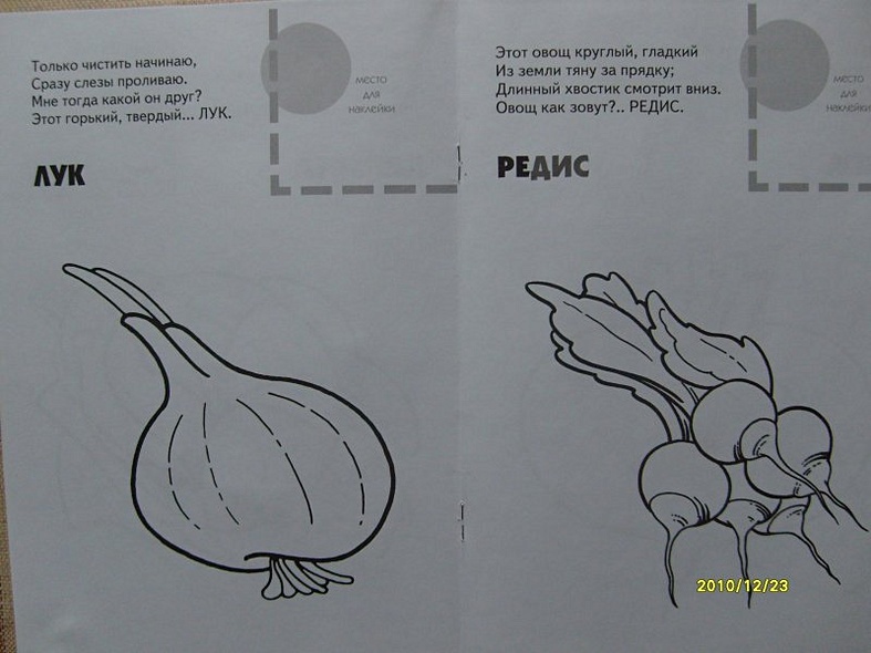Раскраска с наклейками. Овощи. - фото 4