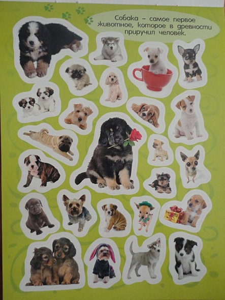 Стикерляндия. Собаки - фото 2