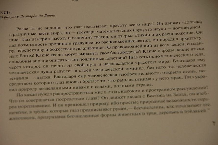 Леонардо да Винчи - фото 9