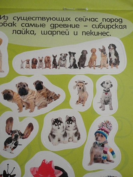Стикерляндия. Собаки - фото 8