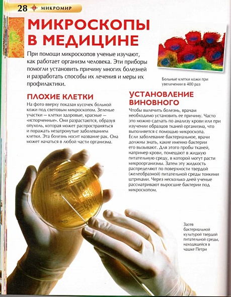 Микромир - фото 10