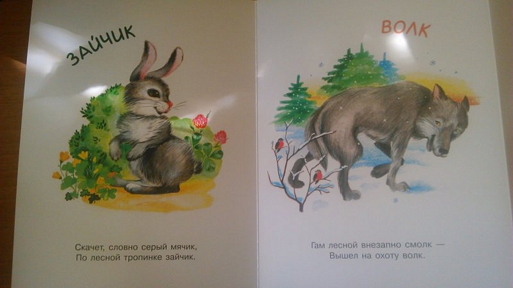 Книжки-гармошки. Это кто такой? - фото 4