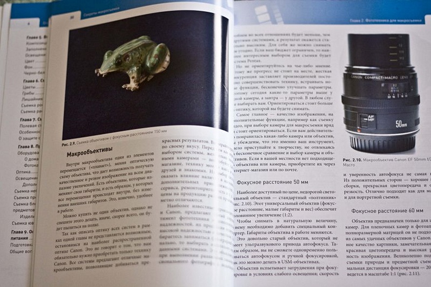 Секреты макросъемки - фото 4