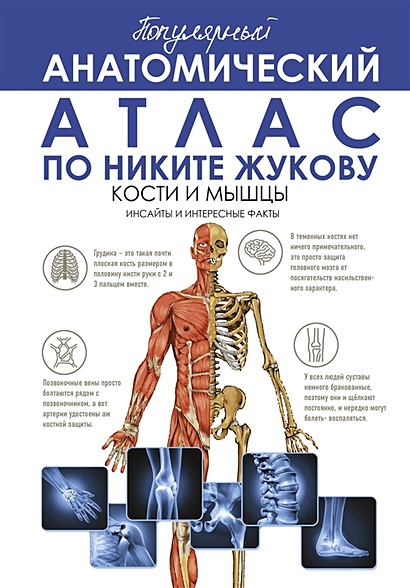 Популярный анатомический атлас по Никите Жукову: кости и мышцы. Инсайты и интересные факты - фото 1