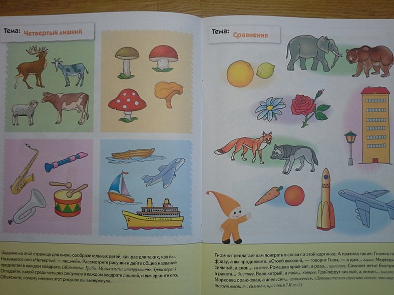 Развитие речи у дошкольников. Старшая группа. Рабочая тетрадь. - фото 5