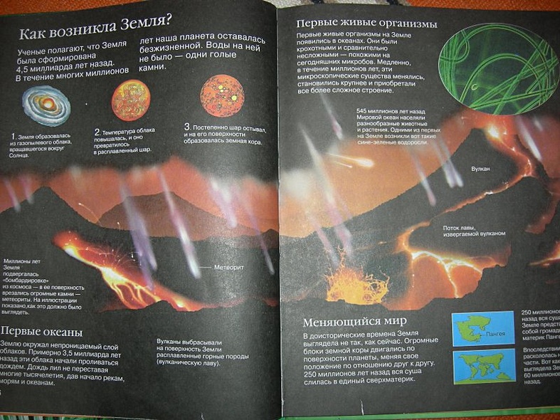 Детская энциклопедия динозавров - фото 3