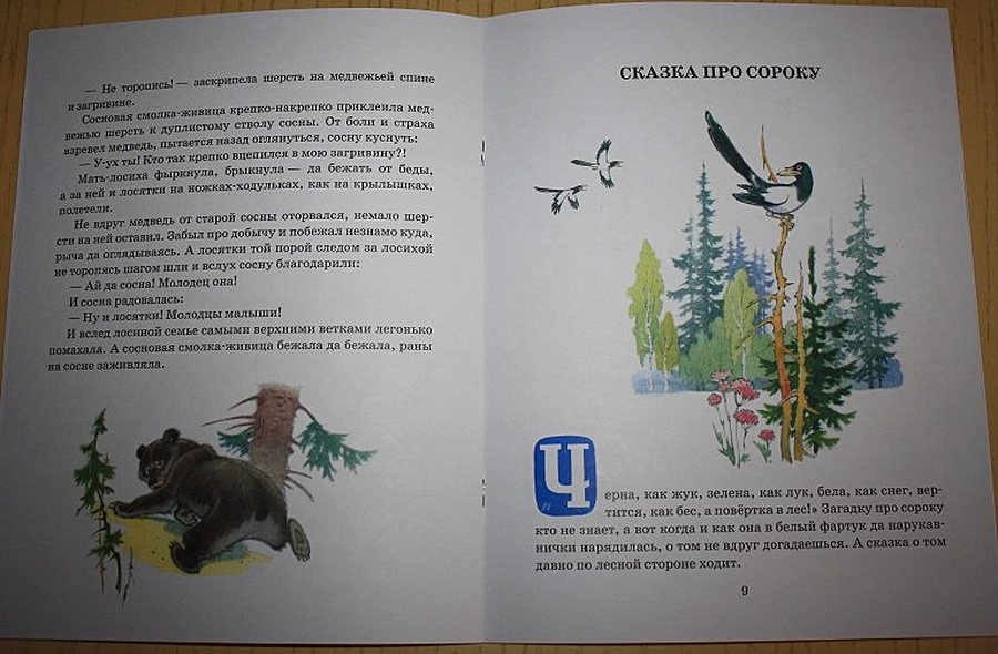 Как сосна лосяток спасала - фото 7