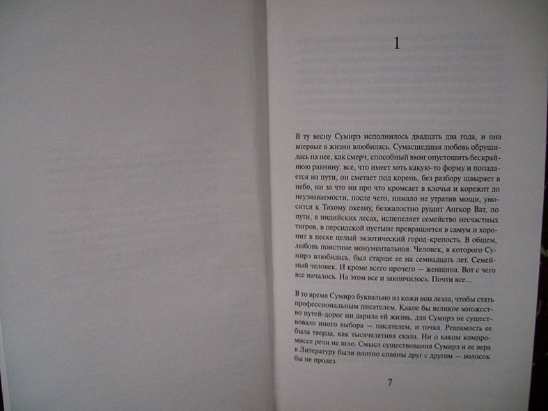 Мой любимый sputnik - фото 3