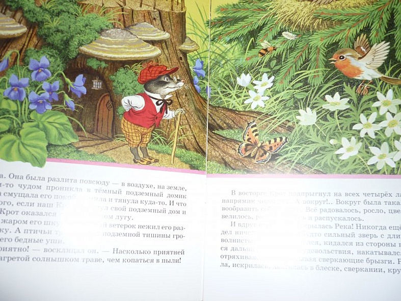 Мистер Крот и остальные - фото 2