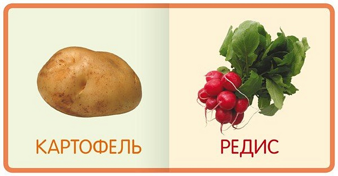 Овощи - фото 3