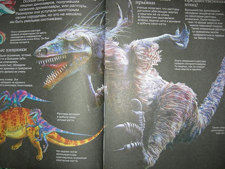 Детская энциклопедия динозавров - фото 10