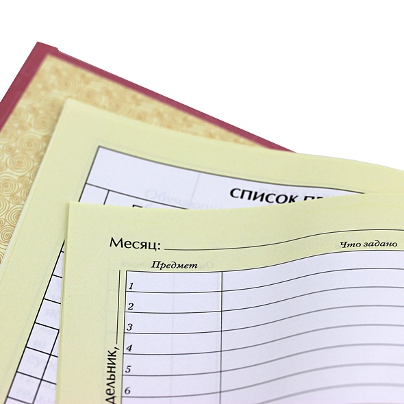 Дневник школьный для младших классов «Львы », 48 листов - фото 2