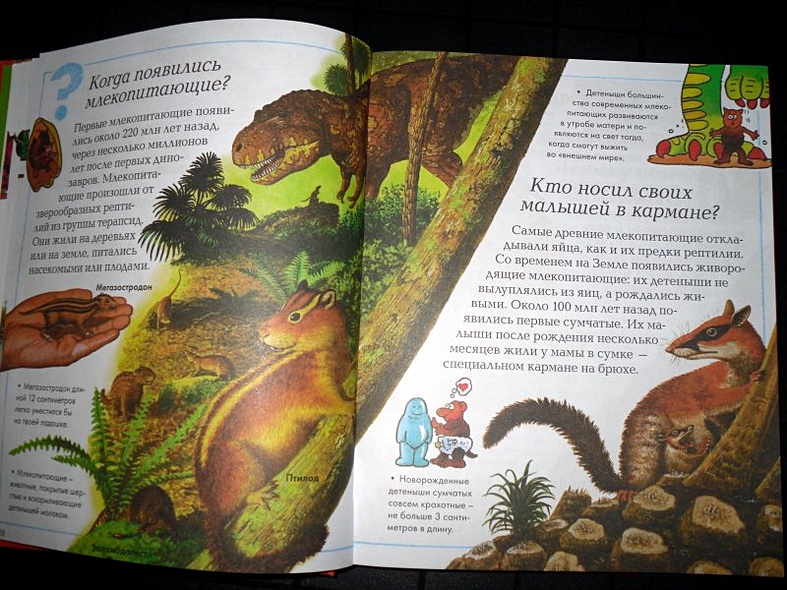 Новая детская энциклопедия - фото 7