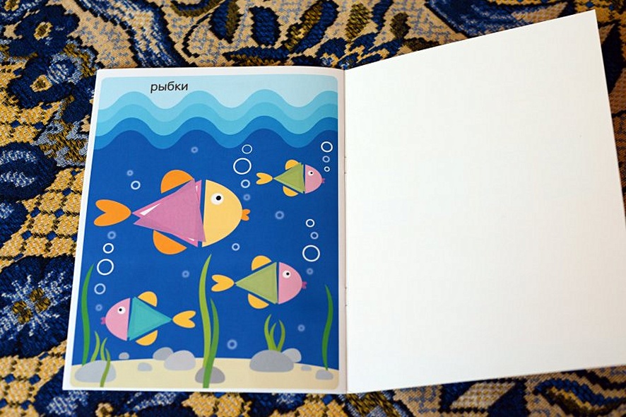 Улитка - фото 7