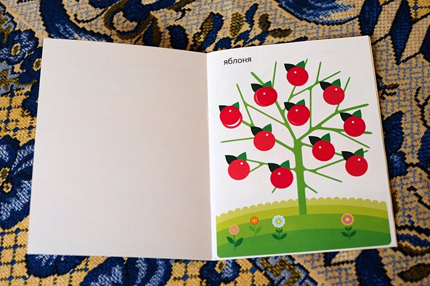 Улитка - фото 3