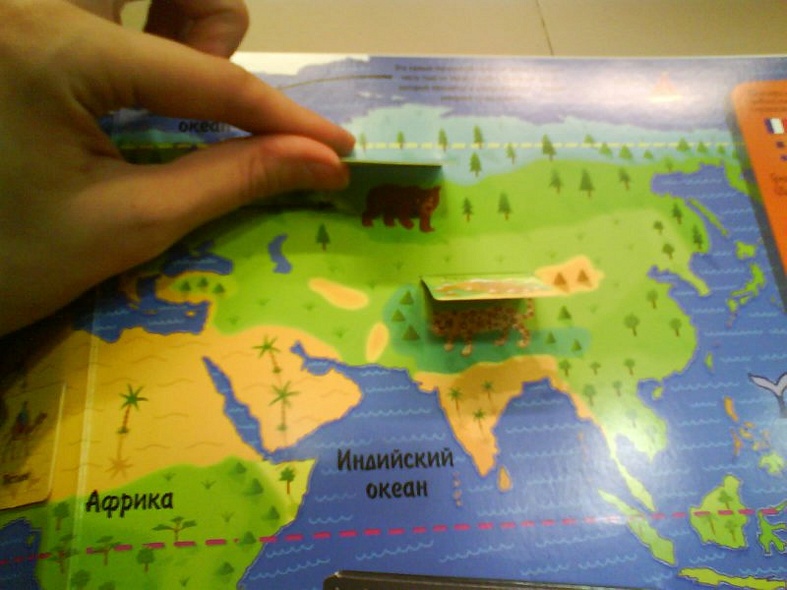 Мой объемный атлас мира - фото 2