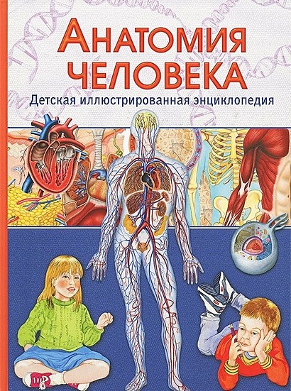 Анатомия человека.Детская иллюстрированная энциклопедия - фото 1