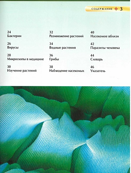 Микромир - фото 4