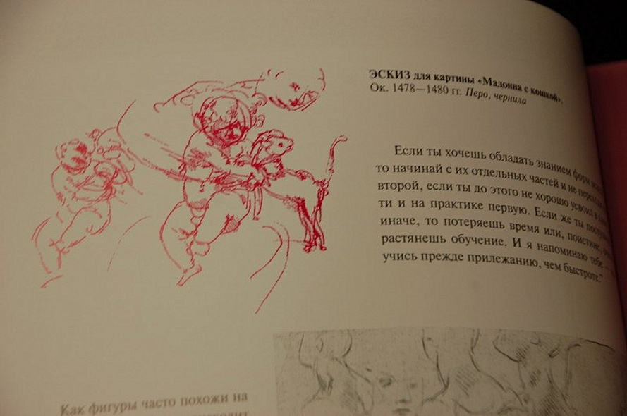 Леонардо да Винчи - фото 13